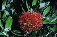 Click on image for larger picture